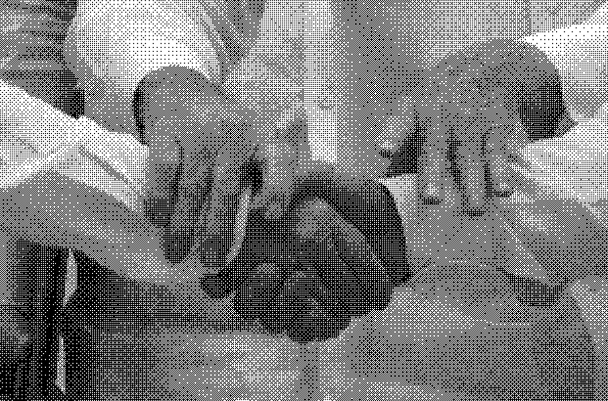 Habanero handshake in Post Conflict Colombia